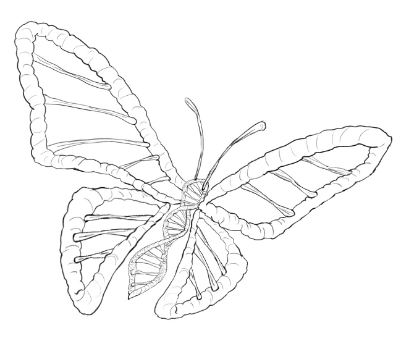 DNA Butteryfly